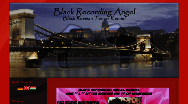 blackrecordingangel.com
