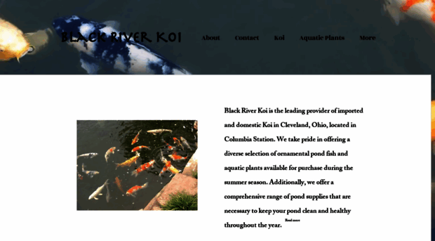 blackriverkoi.com