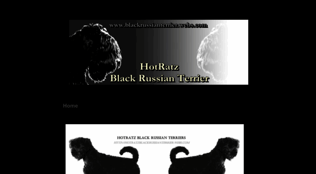 blackrussianterrier.webs.com