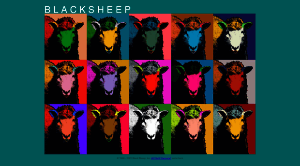 blacksheep.com