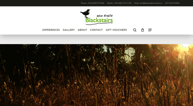 blackstairsecotrails.ie