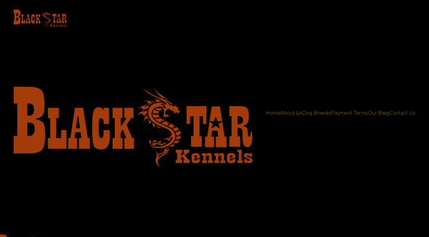 blackstarkennels.in