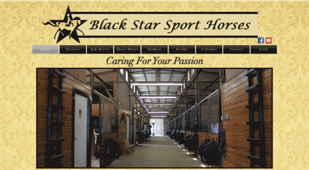 blackstarsporthorses.com