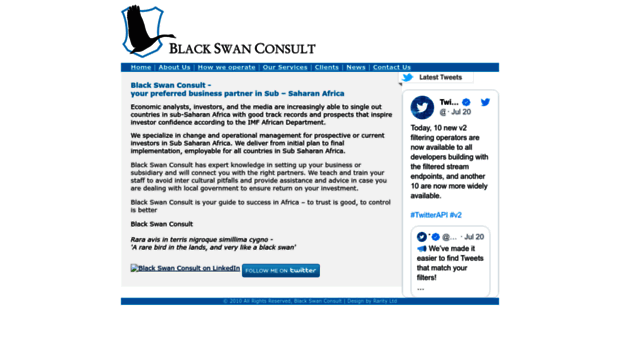 blackswanconsult.com