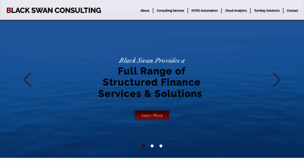 blackswanconsultinggroup.com