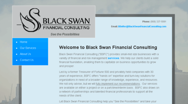 blackswanfinancialconsulting.com