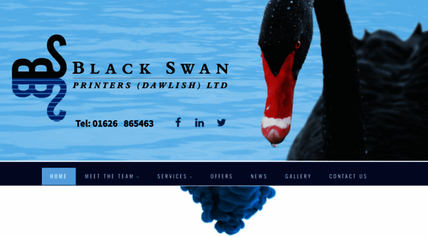 blackswanprinting.co.uk