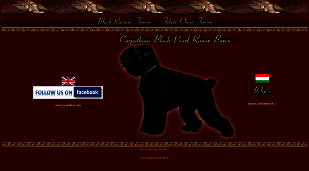 blackterrier.hu