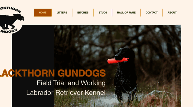 blackthorngundogs.com