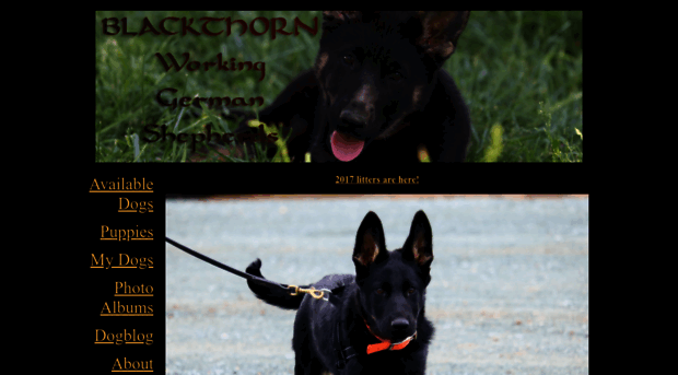 blackthornkennel.com