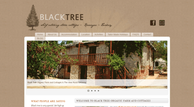 blacktree.net