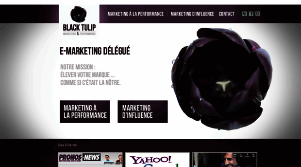 blacktulip.fr