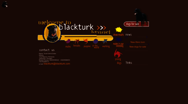 blackturk.com