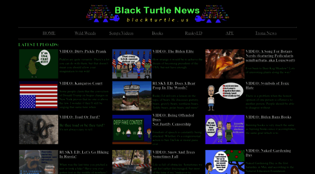 blackturtle.us