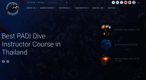 blackturtledive.com