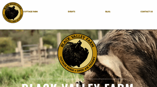blackvalleyfarm.com