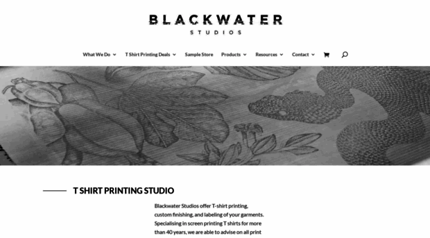 blackwaterstudios.co.uk