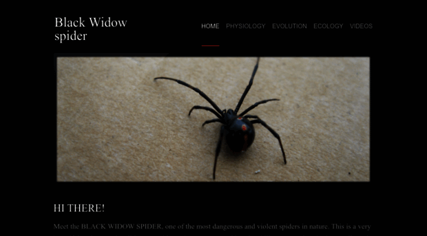 blackwidowspiderresource.weebly.com