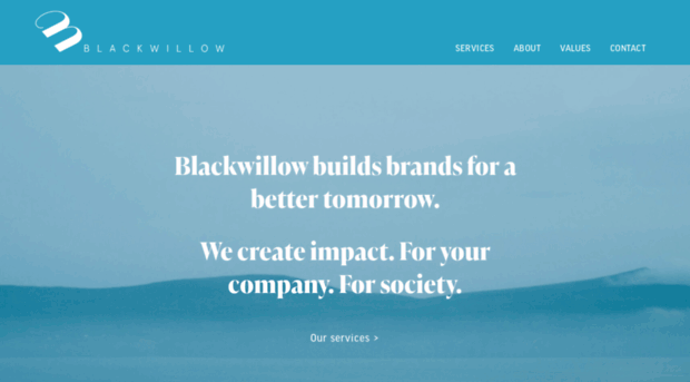 blackwillowgroup.com