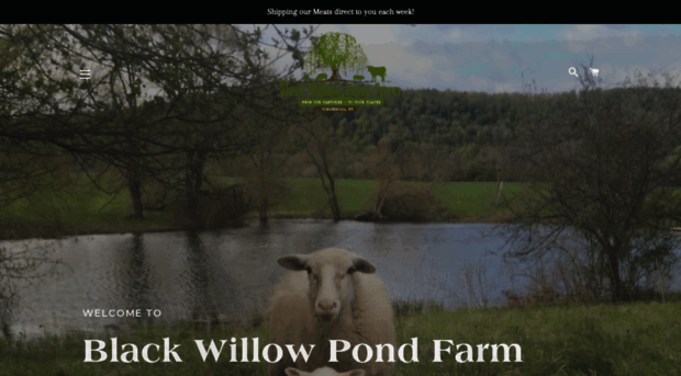 blackwillowpondfarm.com