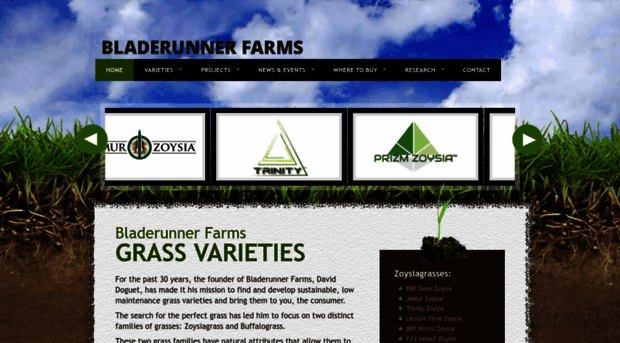 bladerunnerfarms.com