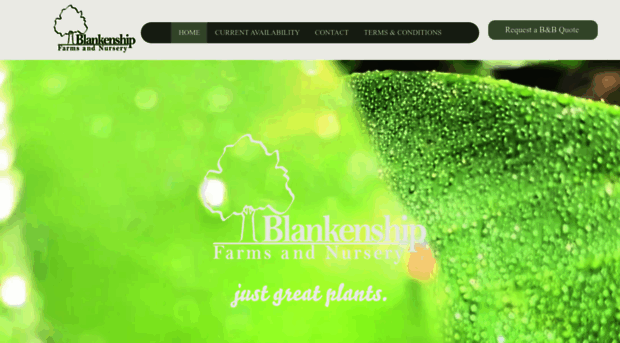 blankenshipfarmsandnursery.com