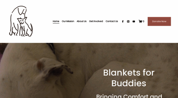 blankets4buddies.org