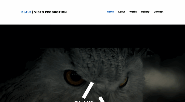 blauproduction.com