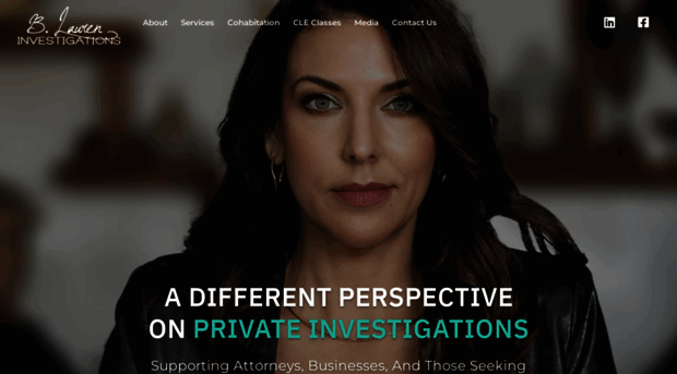 blaureninvestigations.com