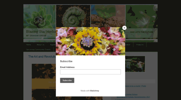blazingstarherbalschool.typepad.com