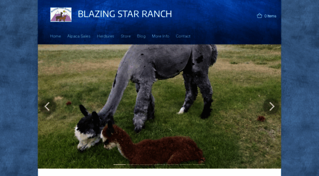 blazingstarranch.com