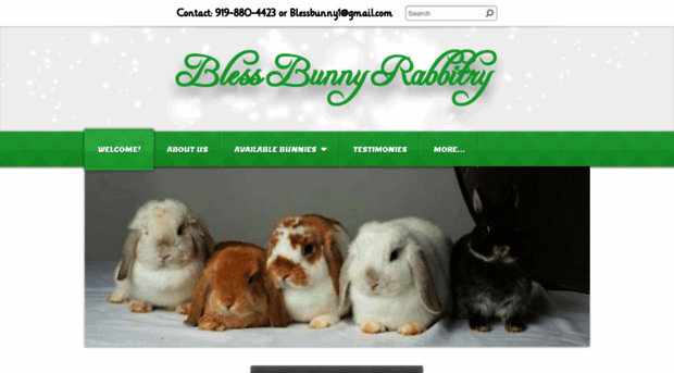 blessbunny.weebly.com