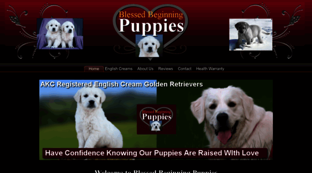 blessedbeginningpuppies.com