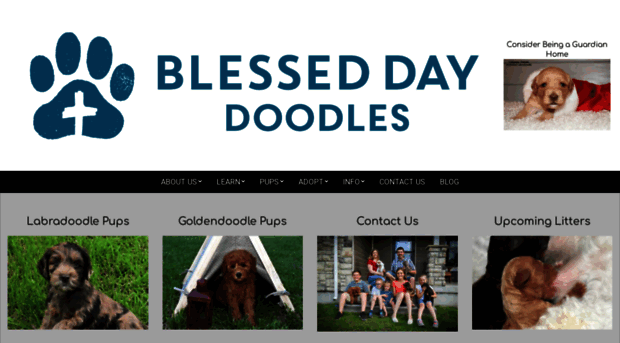 blesseddaydoodles.com