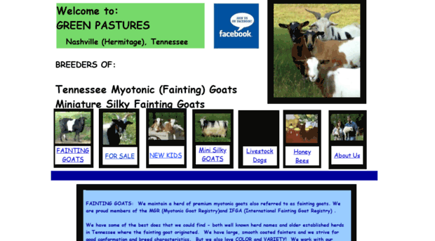 blessedgreenpastures.com