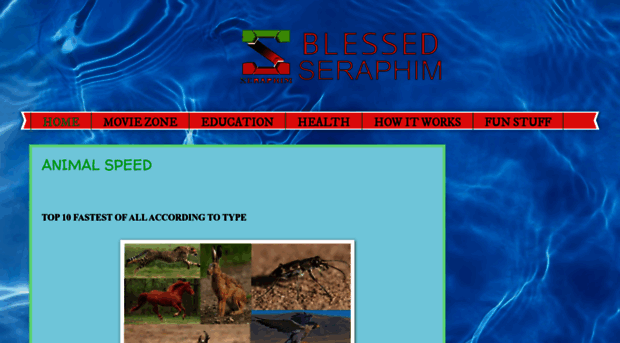 blessedseraphim.blogspot.com.ng