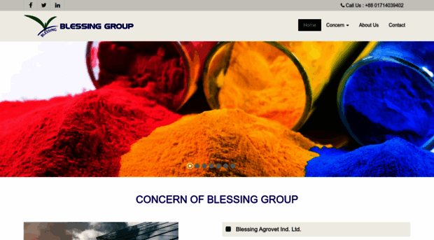 blessinggroup.net