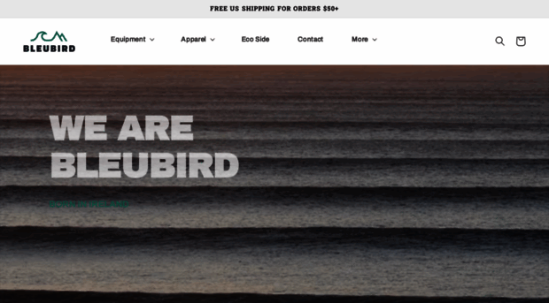 bleubird.com