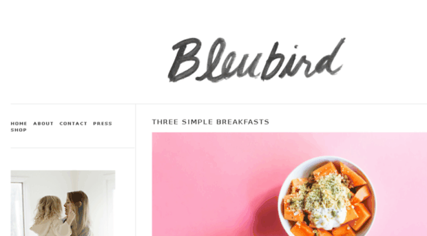 bleubirdblog.com