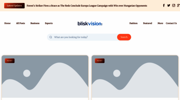 blickvision.de