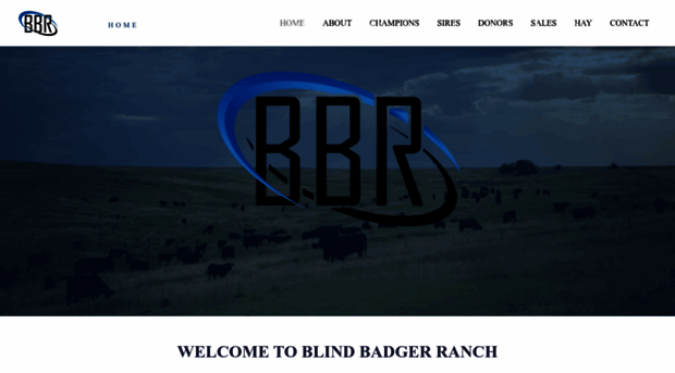 blindbadgerranch.com