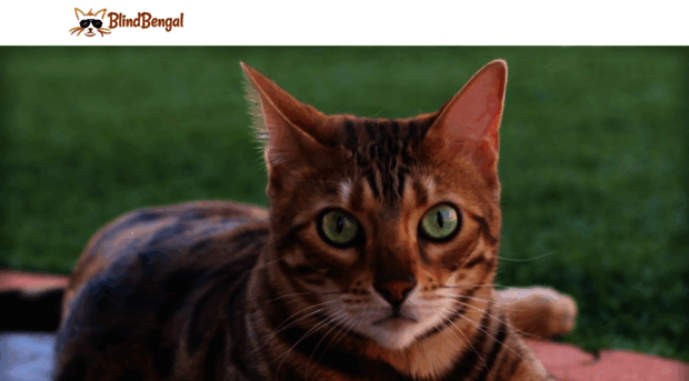 blindbengal.com