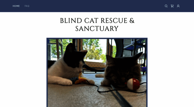 blindcatrescue.net