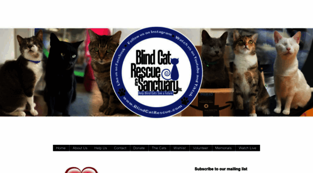 blindcats.org