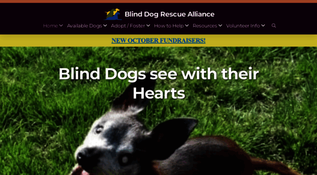 blinddogrescue.org