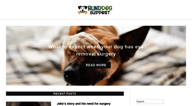 blinddogsupport.com
