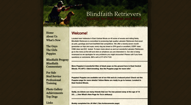 blindfaithretrievers.com