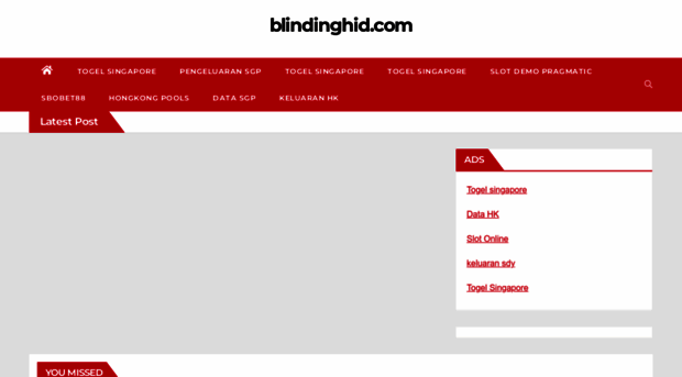 blindinghid.com