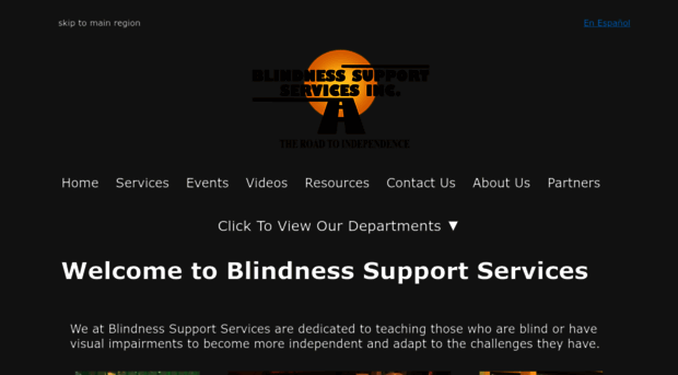 blindnesssupport.com