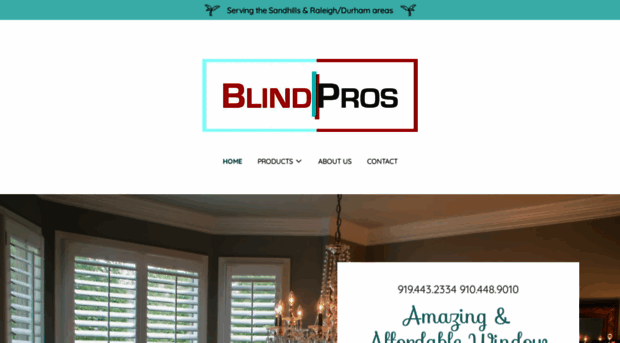 blindpros.com